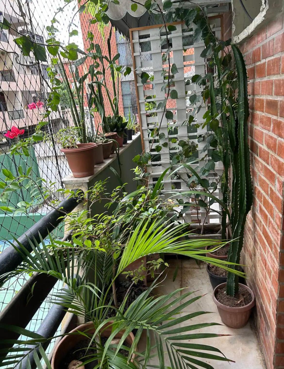 Homestay Aconchego Da