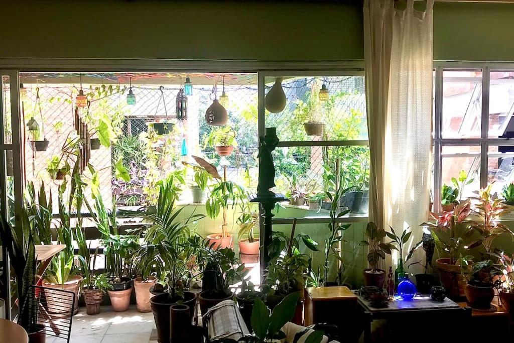 Homestay Aconchego Da