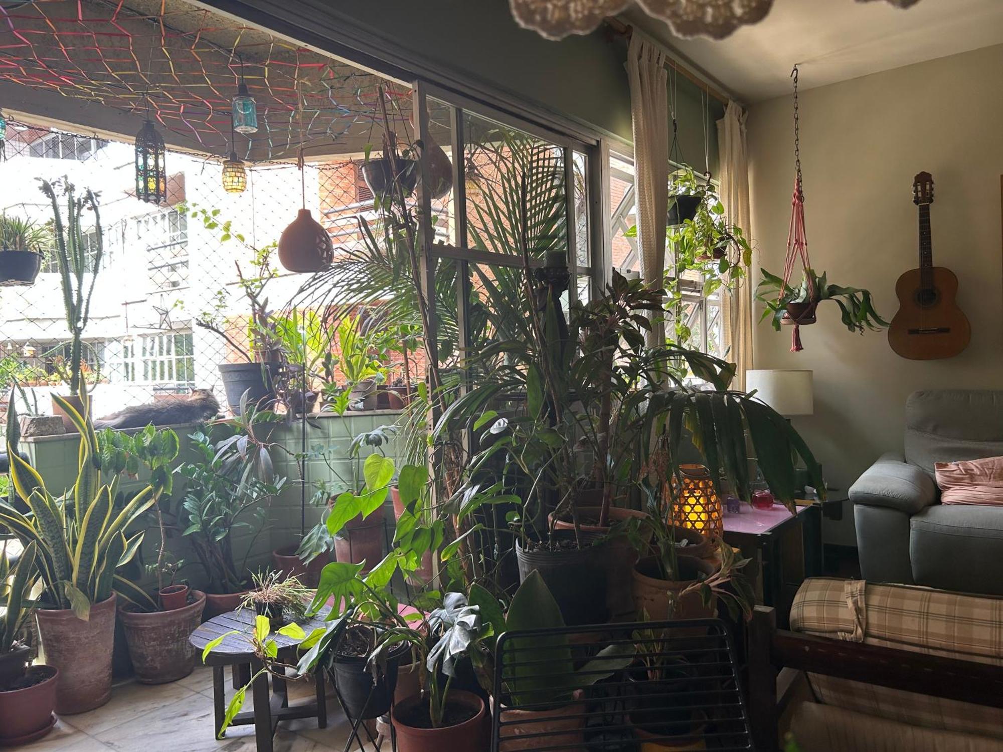 Homestay Aconchego Da