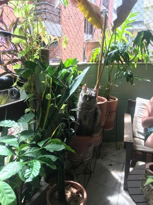 Quarto em Acomodações Particulares Aconchego Da Fortaleza (Ceara)